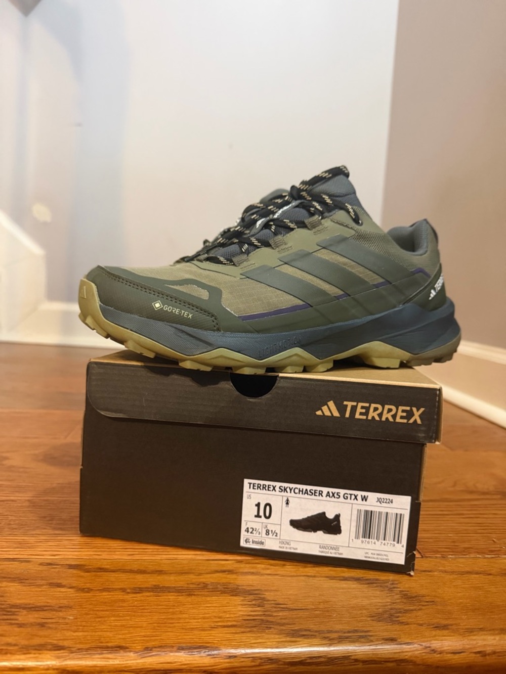 Adidas Men's terrex Skychaser AX5 GTX Hiking Shoe Olive/Black